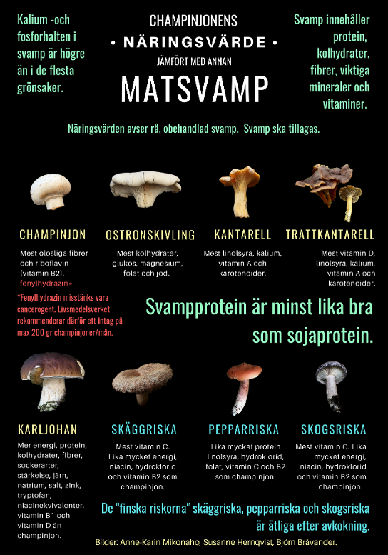 näringsvärde svamp