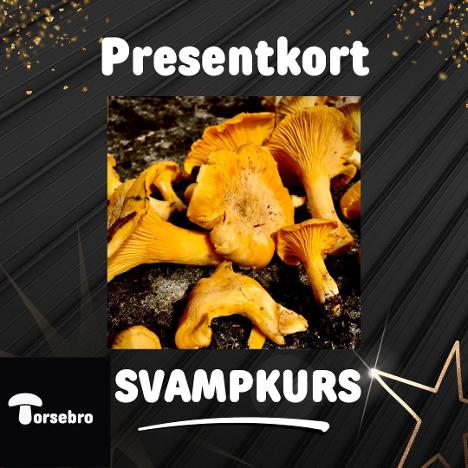 Presentkort svampkurs
