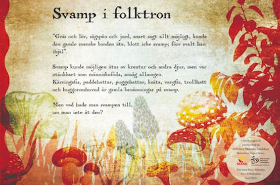 Svamp i folktron